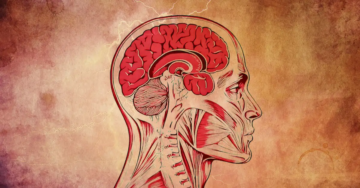 El "chemobrain" es un término usado para describir las dificultades cognitivas que experimentan algunas personas durante o después de los tratamientos de quimioterapia.