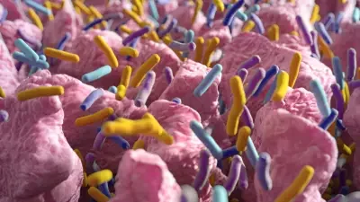 La microbiota intestinal como aliada clave en la mejora de terapias CAR-T.webp